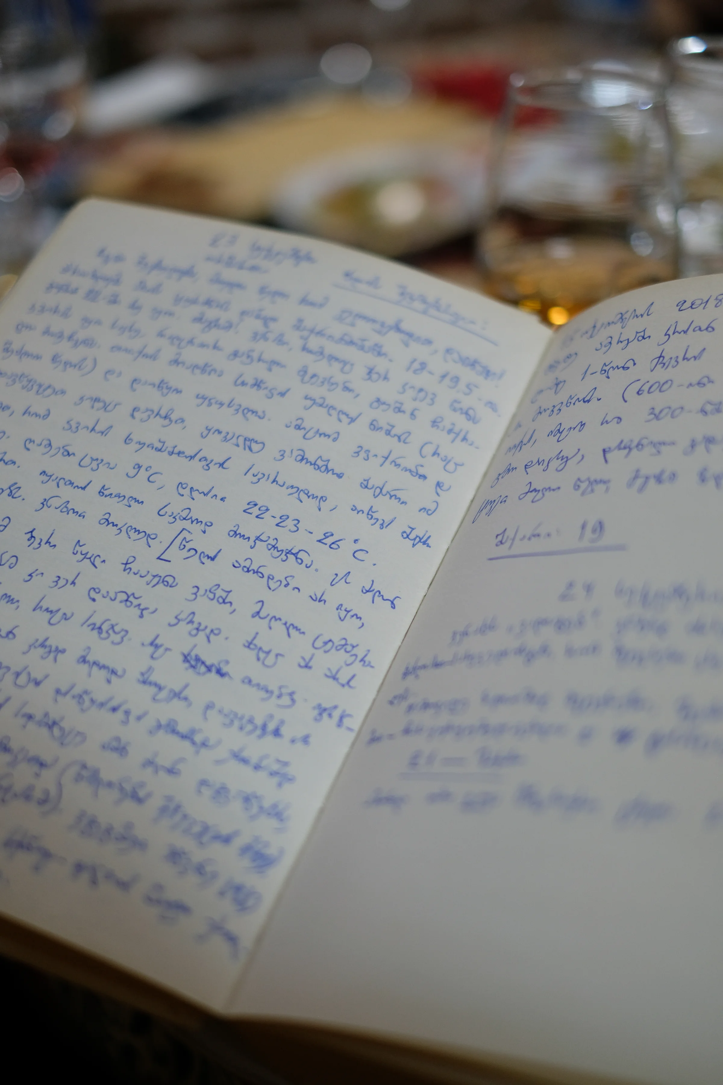 An open notebook filled with handwritten entries in Georgian, on the tasting table.